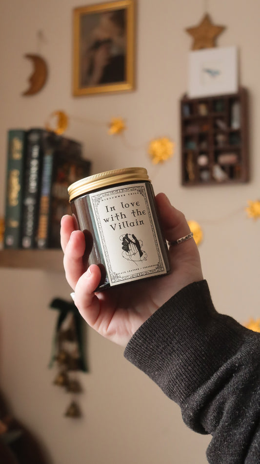 In Love With The Villain