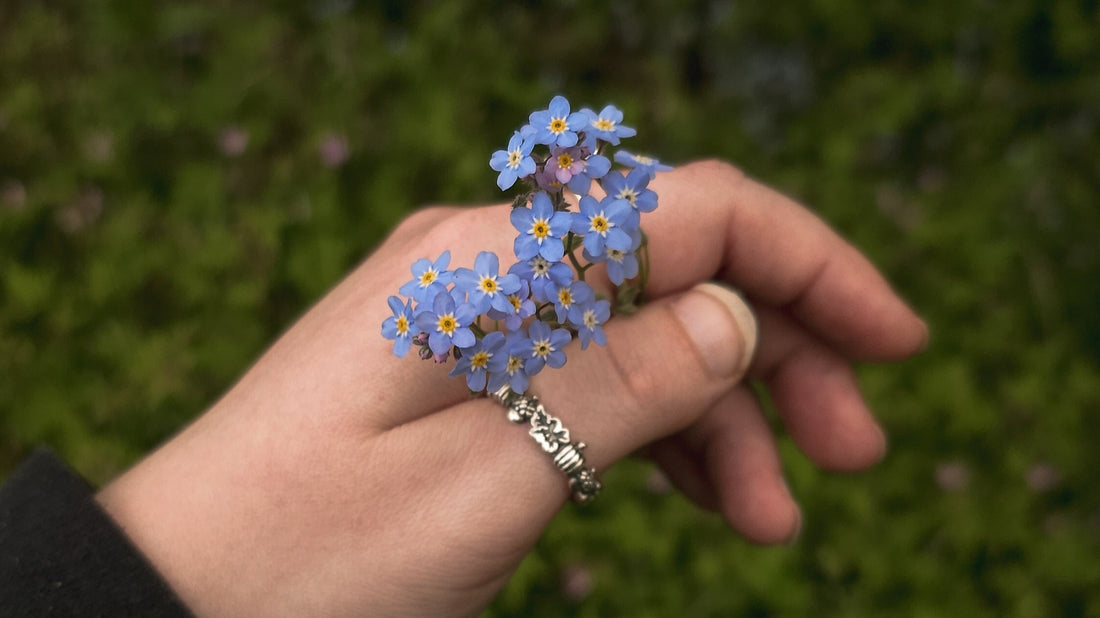 The Power of Scent